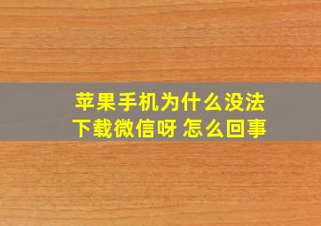 苹果手机为什么没法下载微信呀 怎么回事